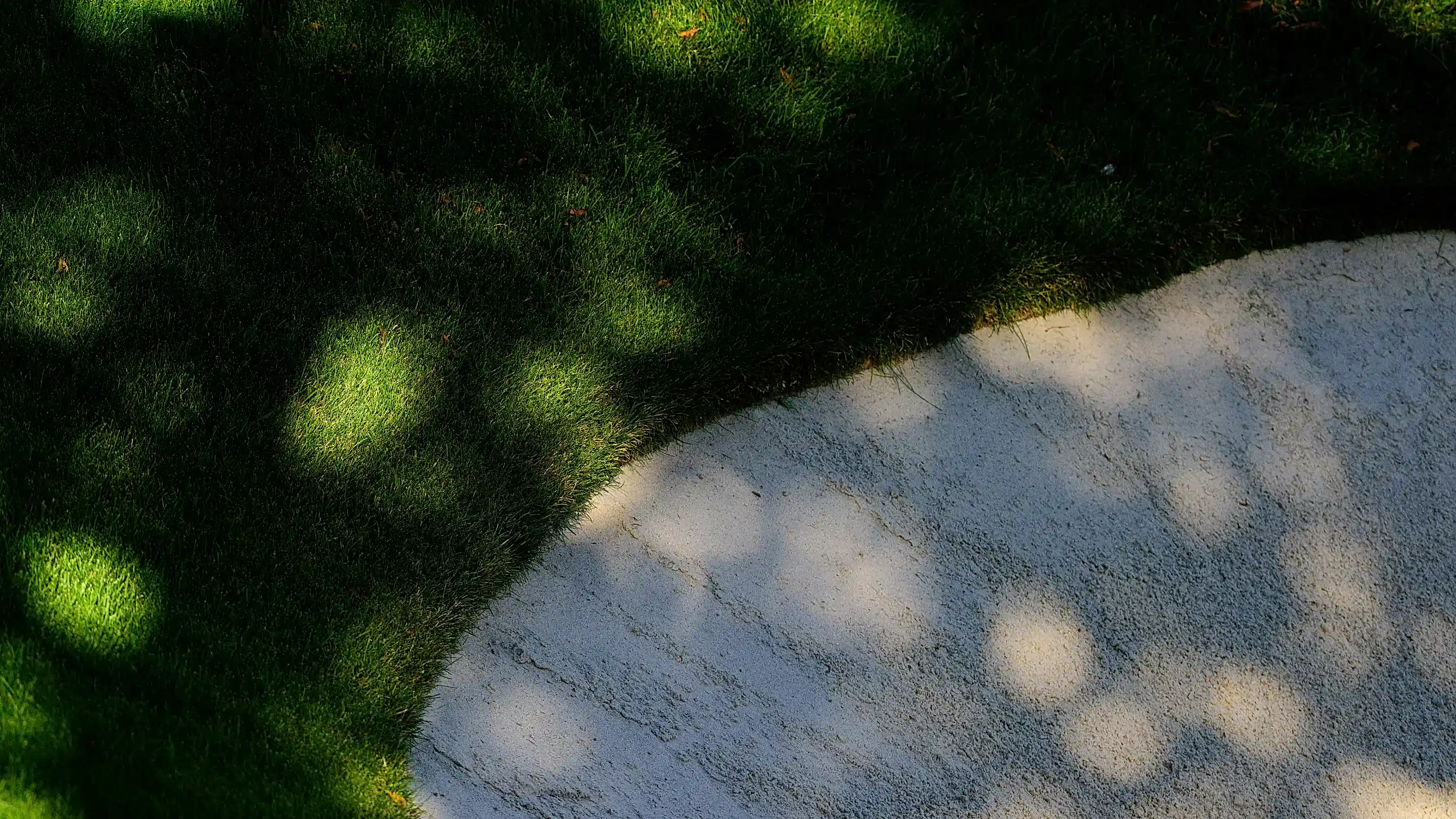 parallax Image